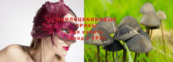 jwh Аркадак
