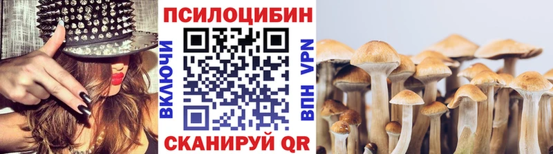 Псилоцибиновые грибы прущие грибы Строитель