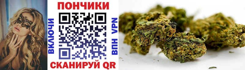 это наркотические препараты  где купить   Строитель  Марихуана семена 